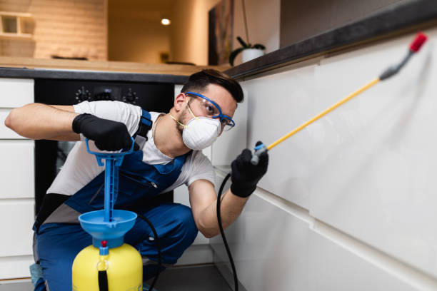 Best Pest Inspection Near Me  in Agua Dulce, TX