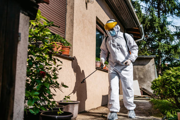 Best Insect Control  in Agua Dulce, TX