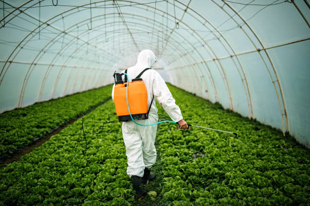Best Ant Control Services  in Agua Dulce, TX