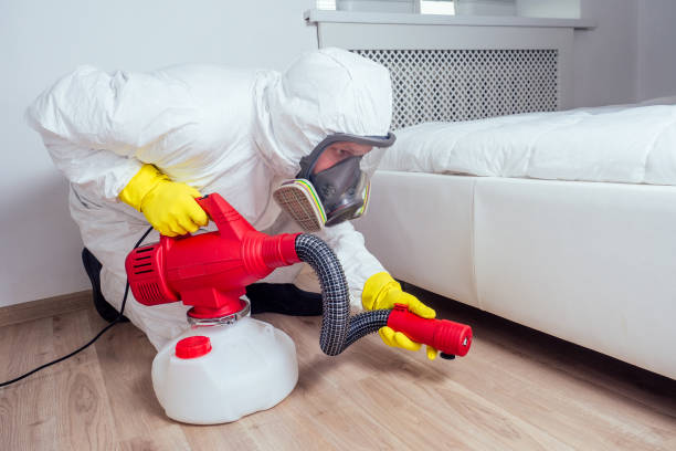 Best Local Pest Control Services  in Agua Dulce, TX