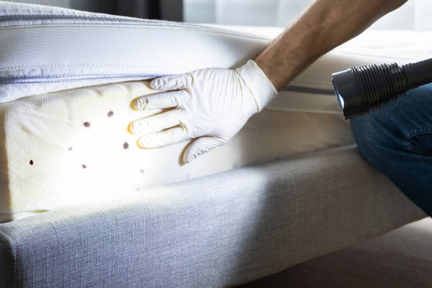 Best Pest Control Near Me  in Agua Dulce, TX